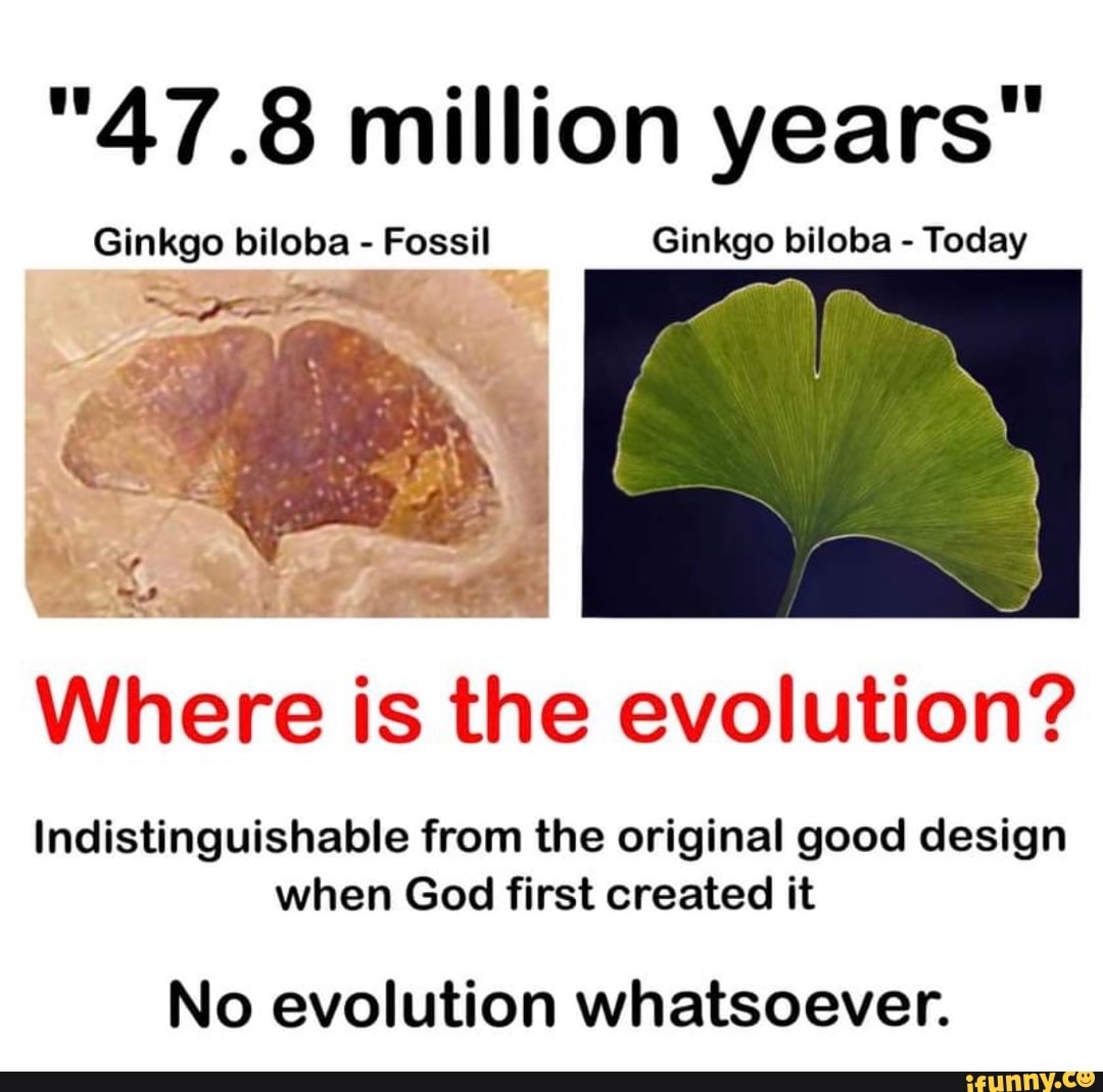 where_is_ginkgo_evolution.jpg